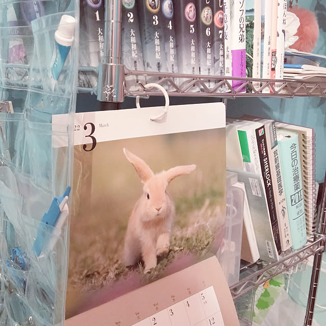 ikimonoさんの実例写真