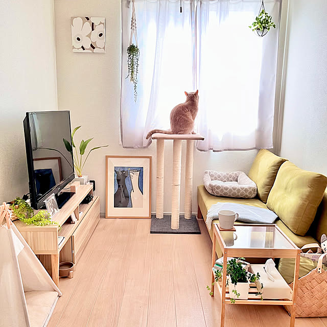 kiyomiさんの部屋