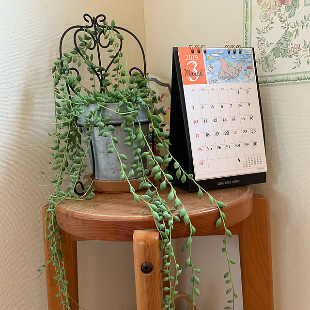 観葉植物/バス/トイレのインテリア実例 - 2019-03-17 15:01:10