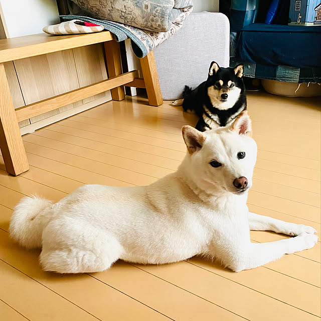 mo-nosukeさんの実例写真