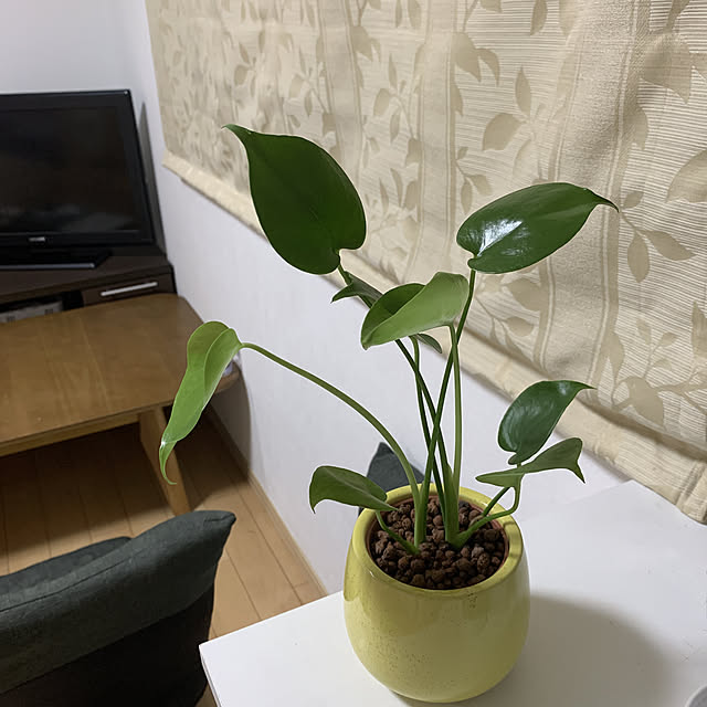 Naoさんの実例写真