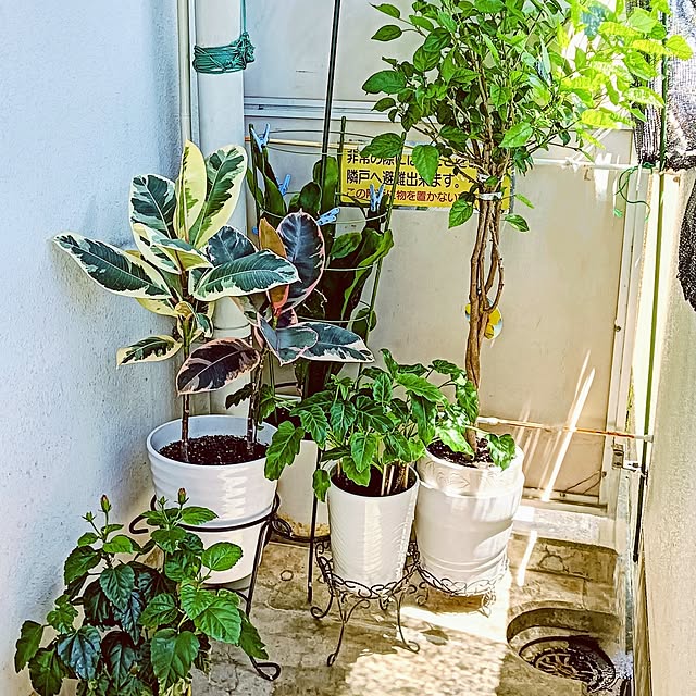 hanachanさんの部屋