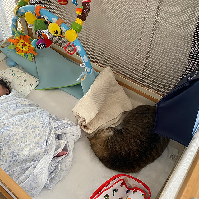 mikomaruさんの実例写真