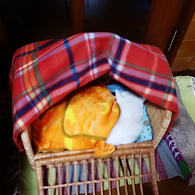 amifuuさんの実例写真