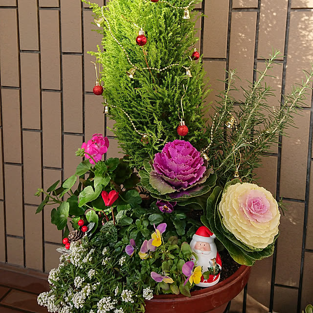 t1ma0honeyさんの実例写真