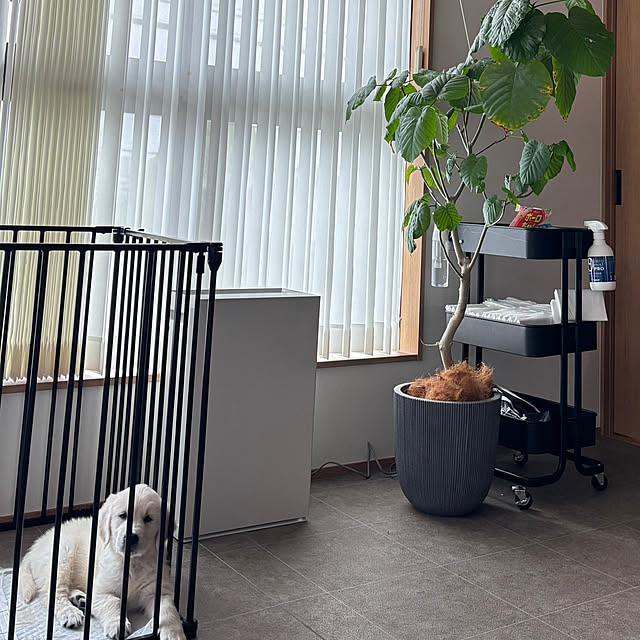 tani880621さんの実例写真