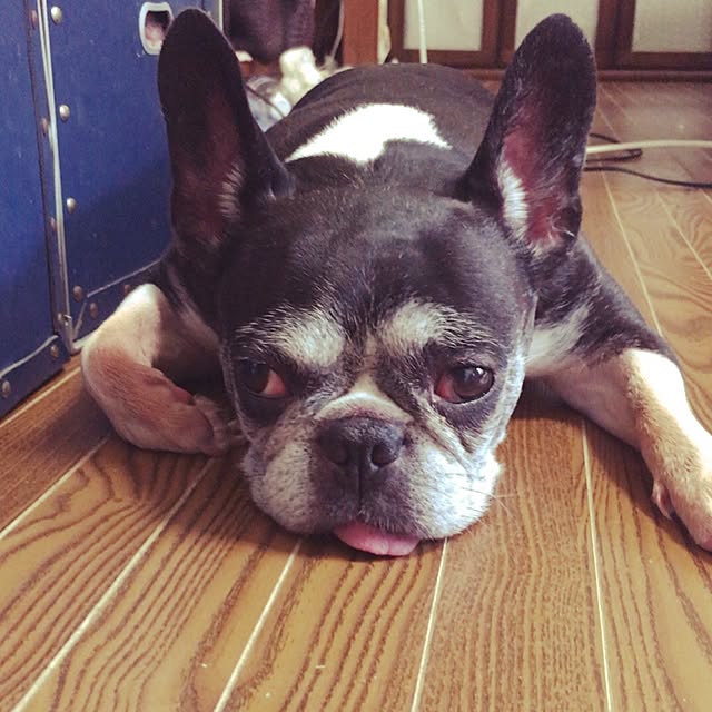 DADAさんの実例写真