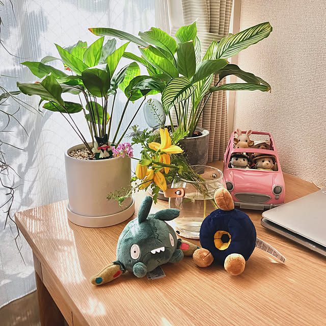 yuppoさんの実例写真