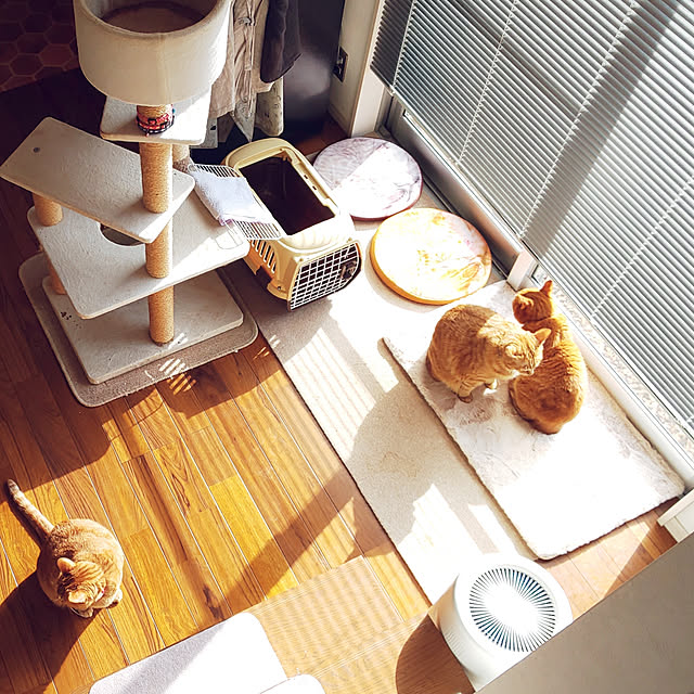 37さんの実例写真
