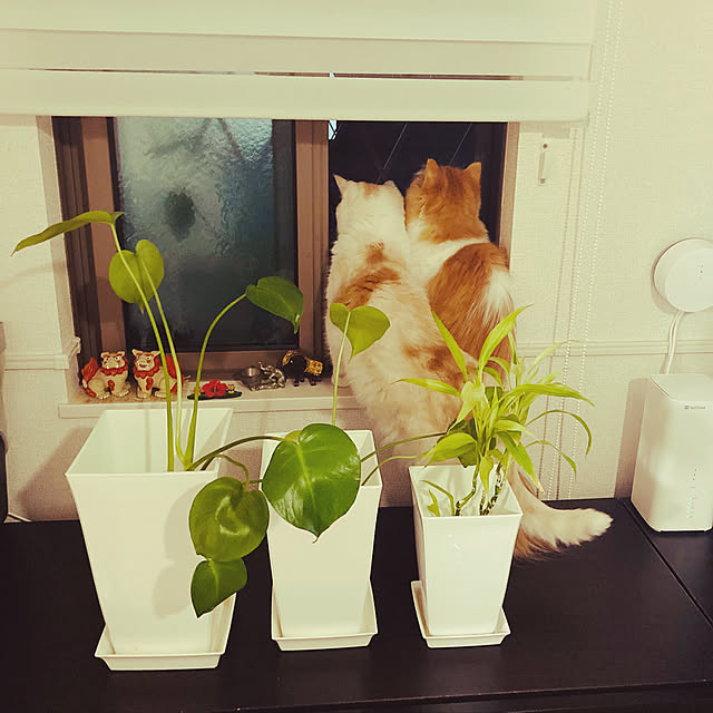 H.Tさんの実例写真