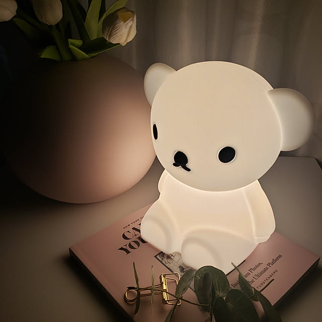 nao0219さんの実例写真