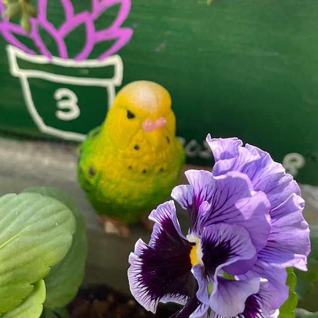 sata9さんの実例写真