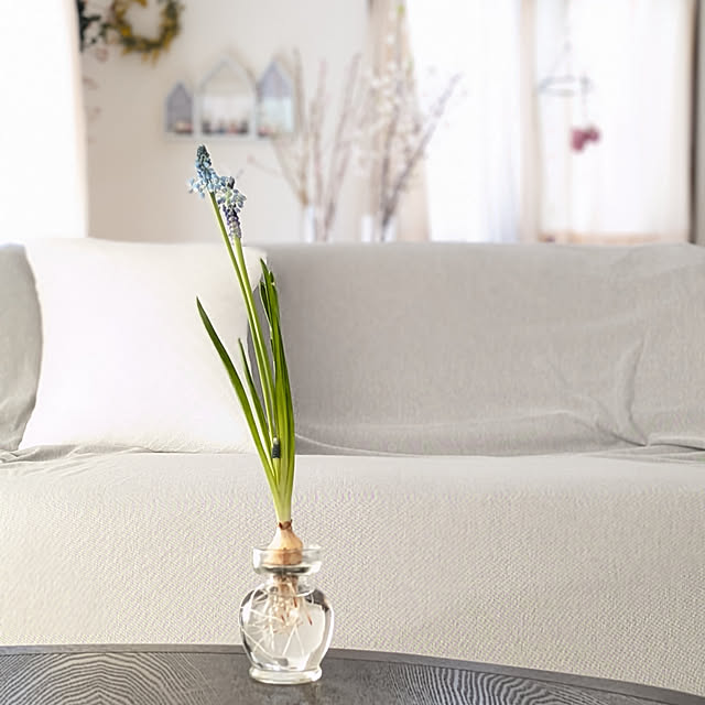 yukkin29さんの実例写真