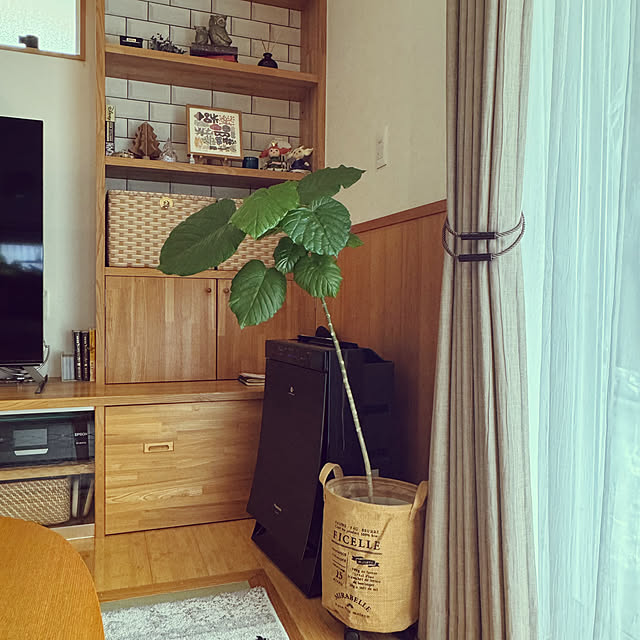 wakaba223さんの実例写真