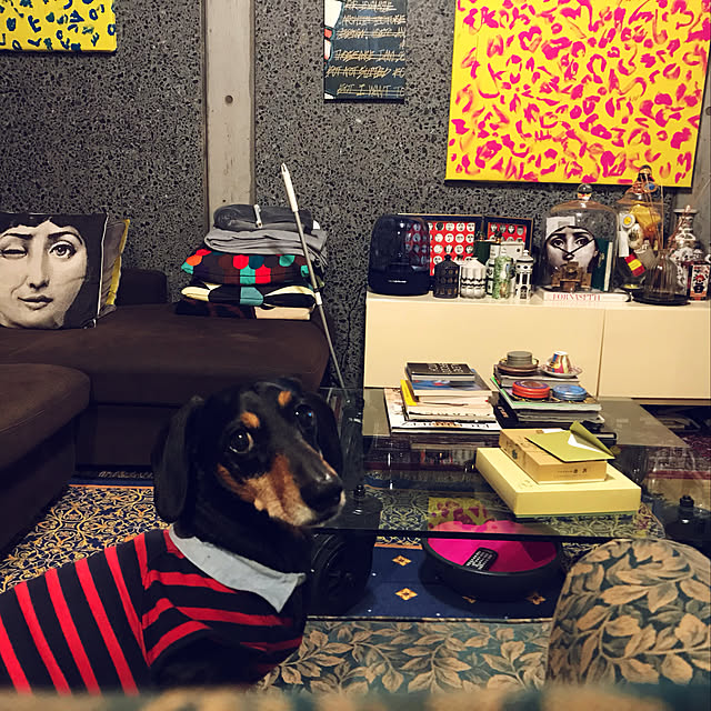 DECO_NAKATANIさんの実例写真