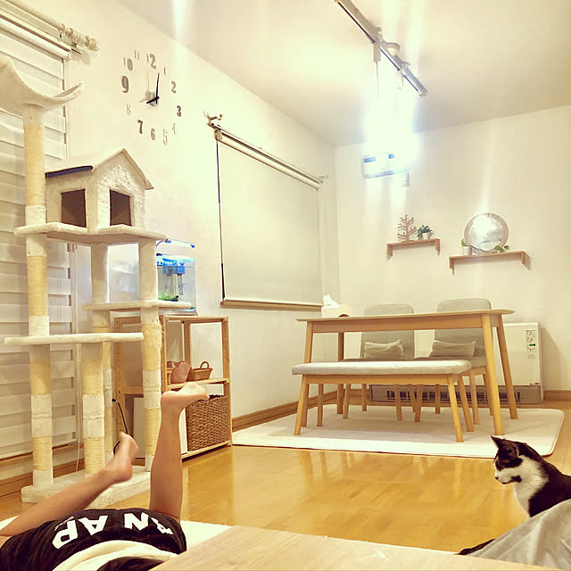 Yumiさんの実例写真