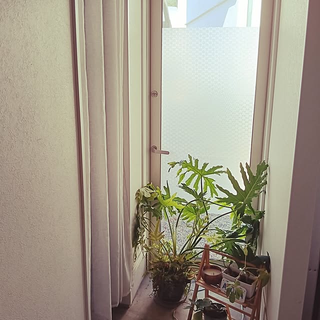 kiyrumoさんの実例写真
