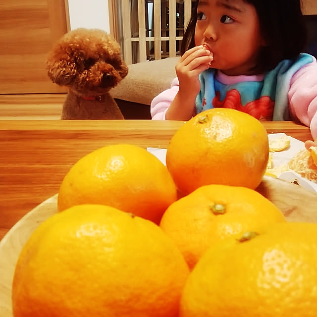 kotaroさんの実例写真