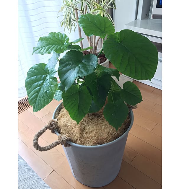 UNI.mamaさんの実例写真