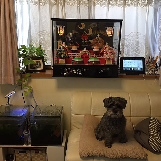 Kanaさんの実例写真