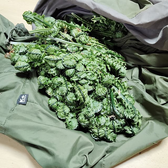 aoinokimiさんの実例写真