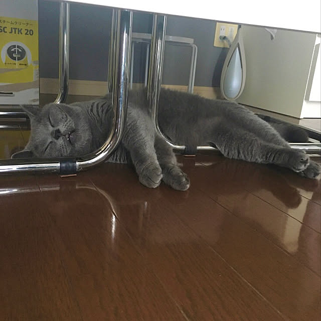 kittyさんの実例写真