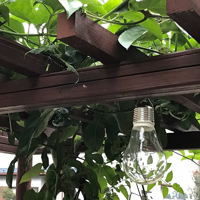 kokko3さんの実例写真