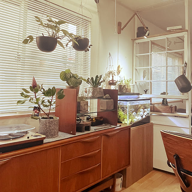 akiさんの実例写真