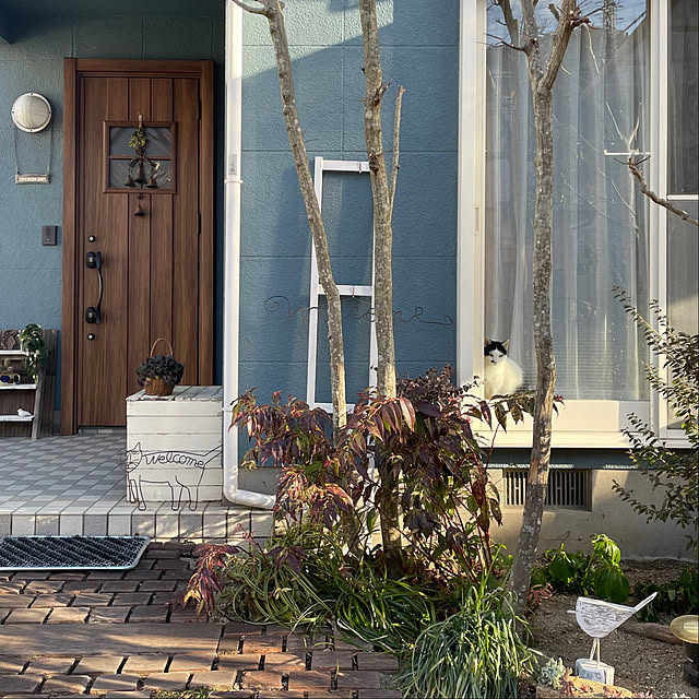 nobikoさんの実例写真