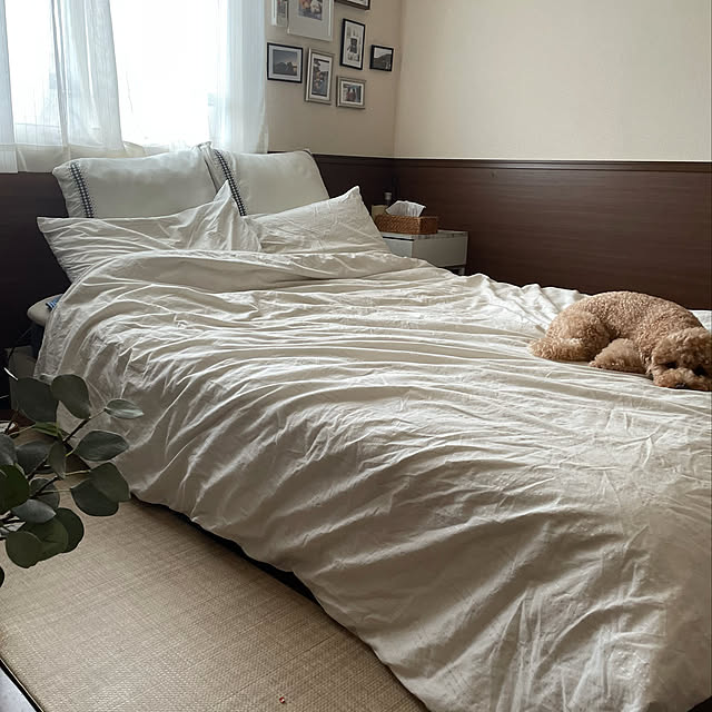 Yukinaさんの実例写真