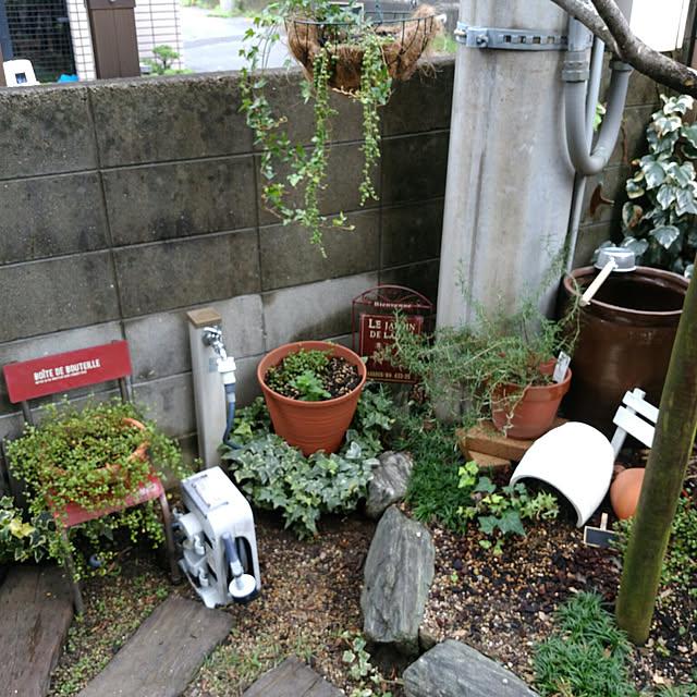 rassesachi.1231さんの実例写真