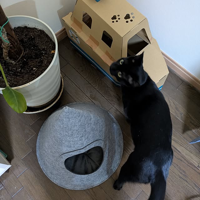 asaさんの部屋