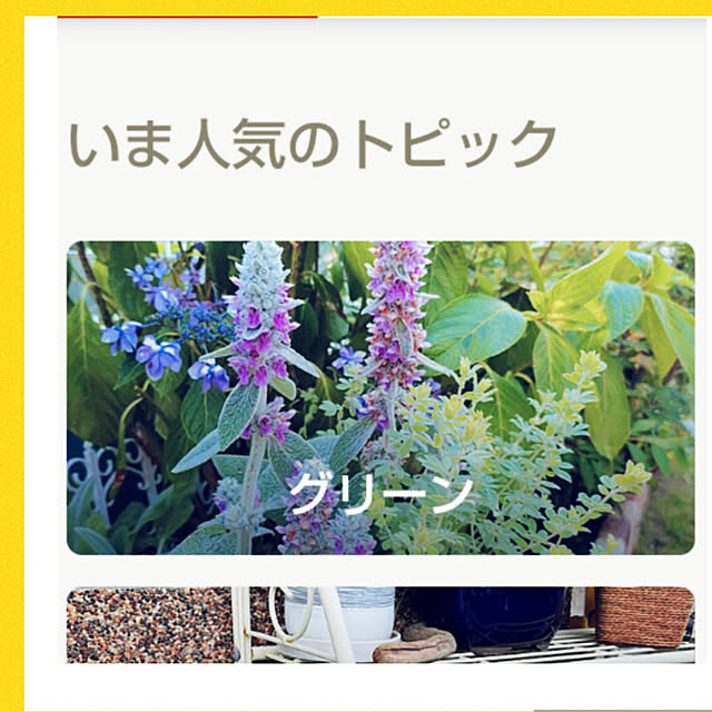 Miyumamaさんの実例写真