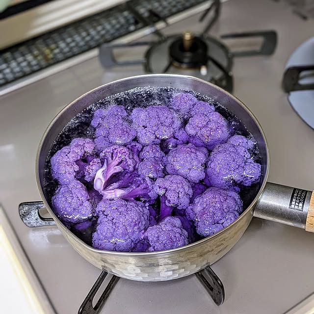 purpureさんの部屋