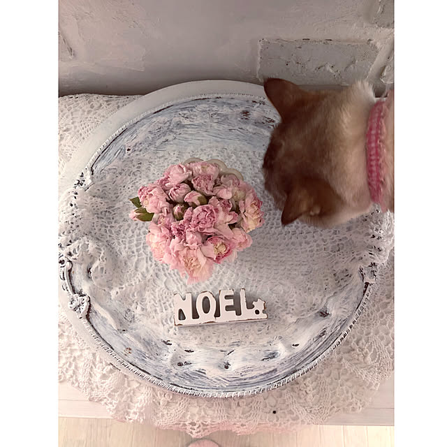 noelさんの実例写真
