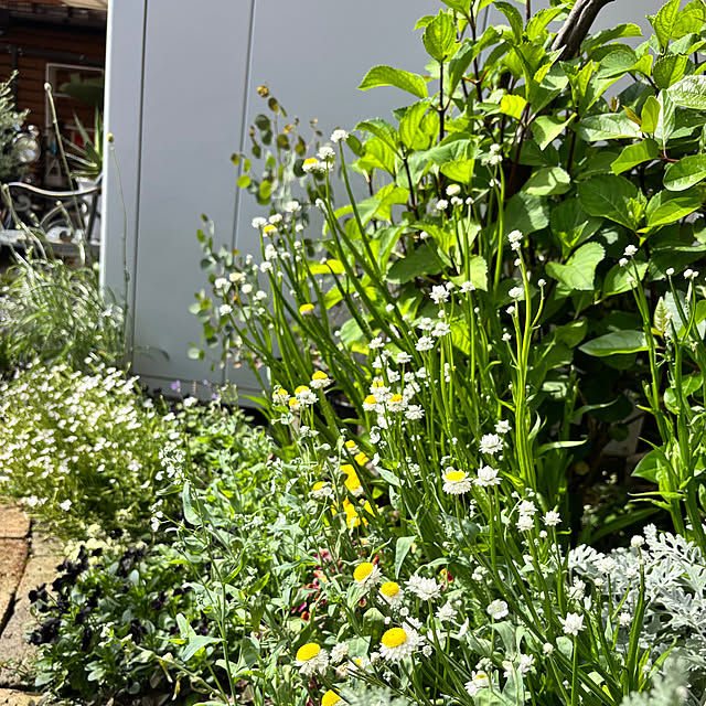 kyoko1124koさんの部屋