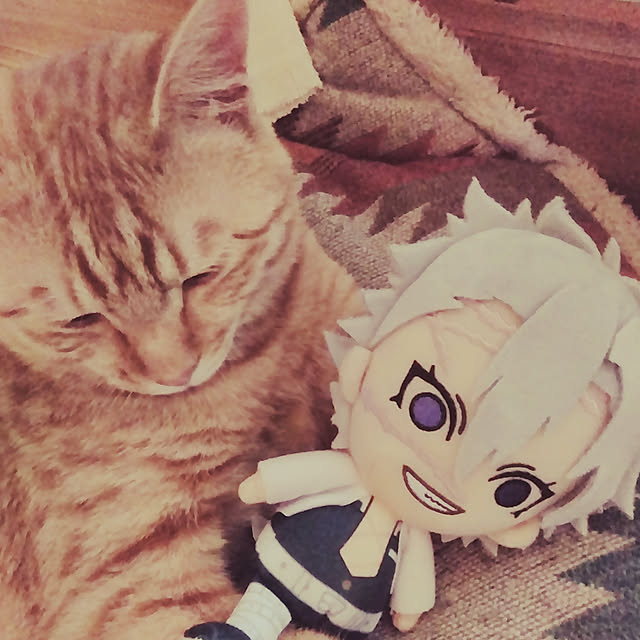 gu-sanさんの実例写真