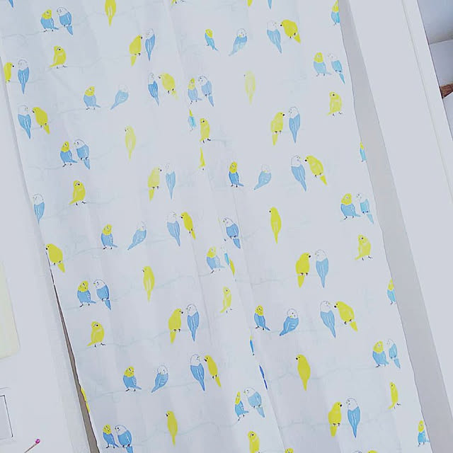 fumi626さんの実例写真