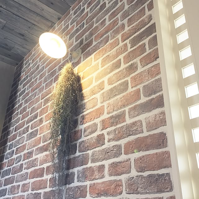 maLoLonさんの実例写真