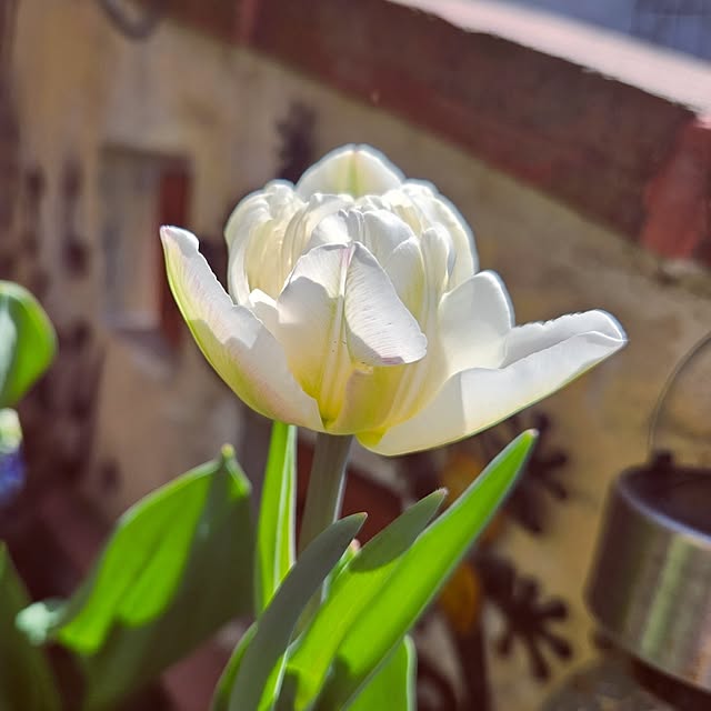 mocomocoさんの部屋