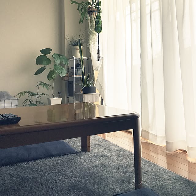 powakyonさんの実例写真
