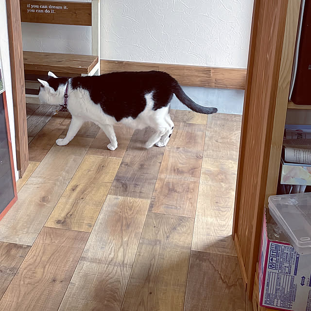 nekosamaさんの部屋