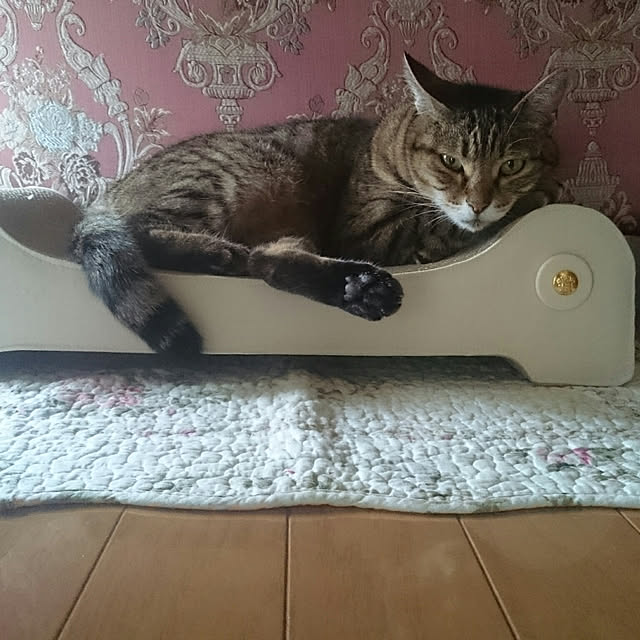 lilyさんの実例写真