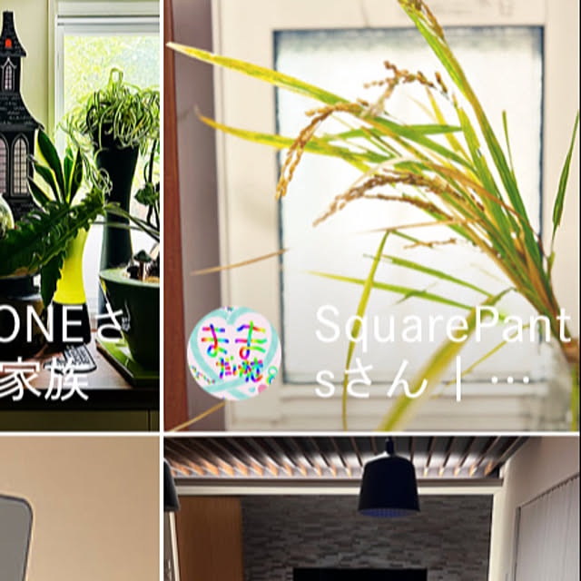 SquarePantsさんの実例写真