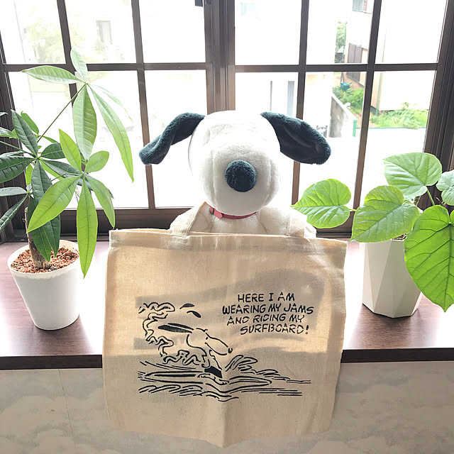 miporinさんの実例写真