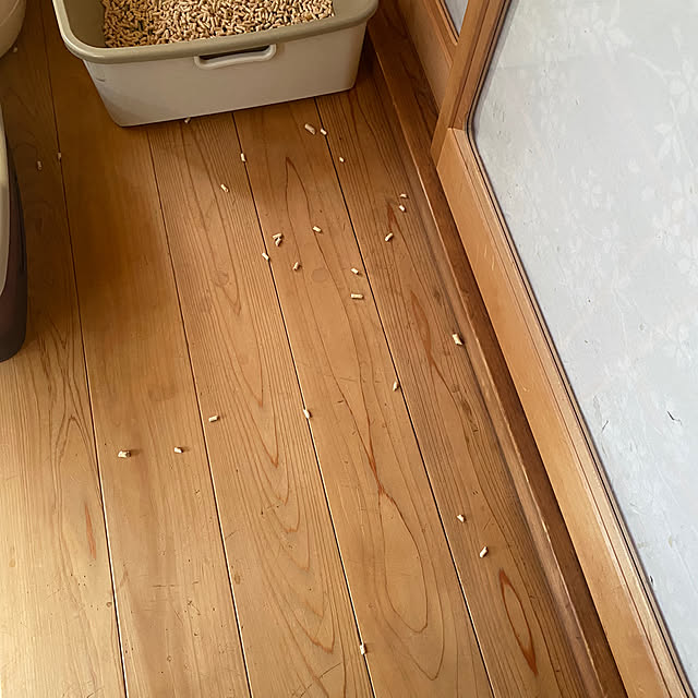 机/インテリア/猫トイレ/ねこのいる日常/猫のいる日常...などのインテリア実例 - 2024-04-28 10:31:51