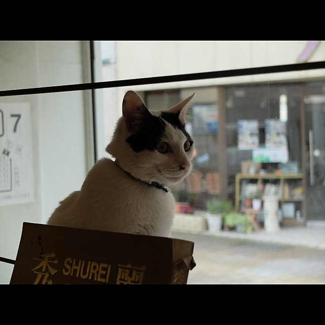 kottonさんの実例写真
