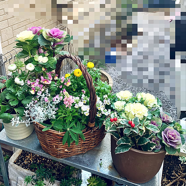 mo-nosukeさんの実例写真