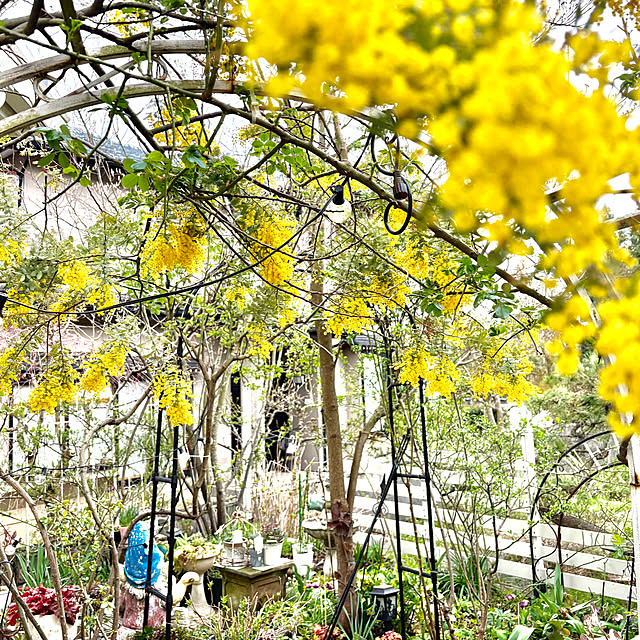 pupuさんの実例写真