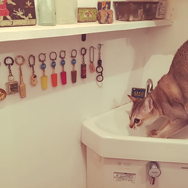 jaajjiさんの実例写真